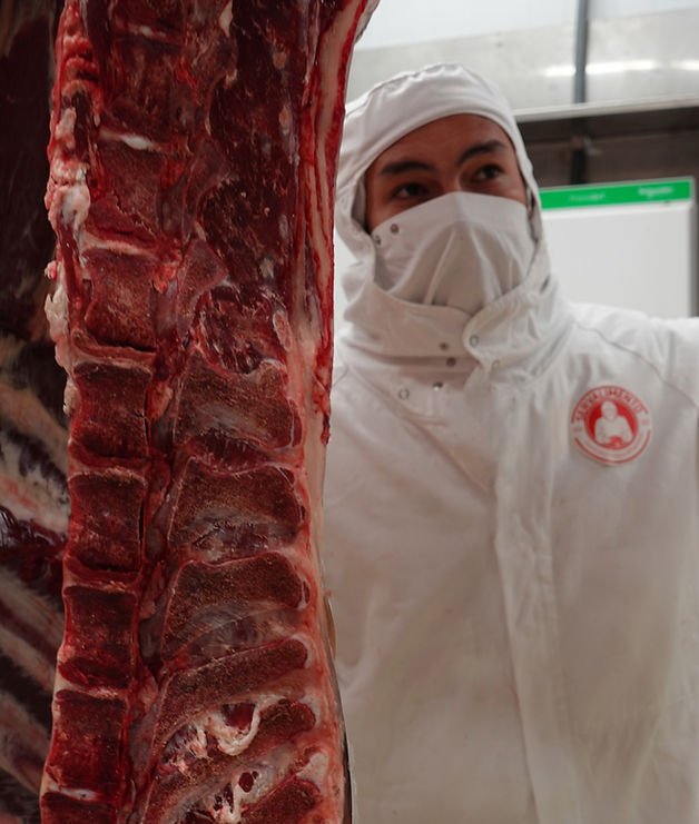 Servalimento 1_edited