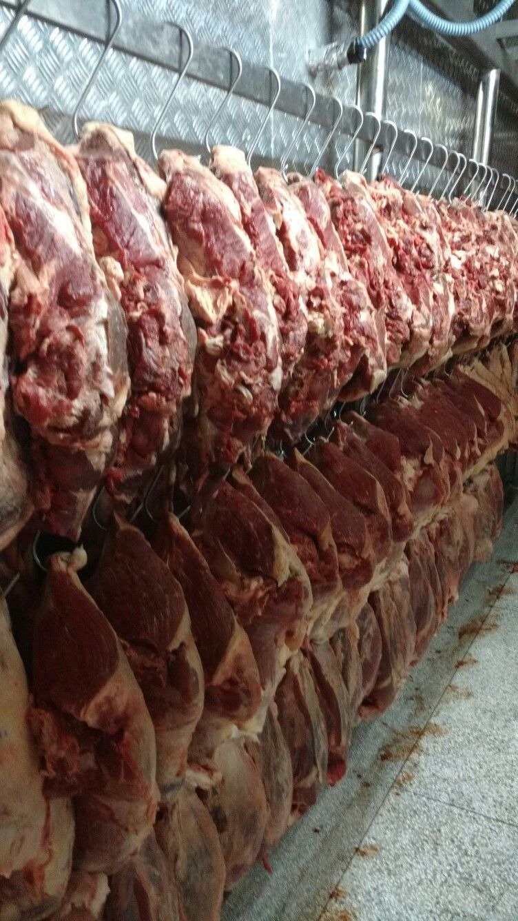 imgi_60_1b3c7fe0c106cdff4c4ec8469aedda78